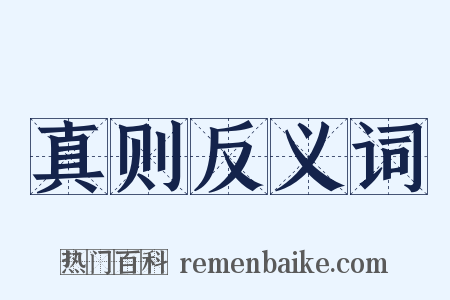 真则反义词是什么意思的图片